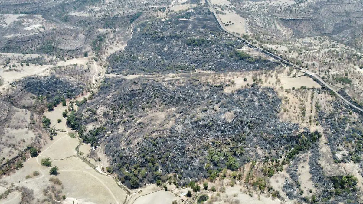 Incendio en la zona serrana del Teul de González Ortega, Zacatecas